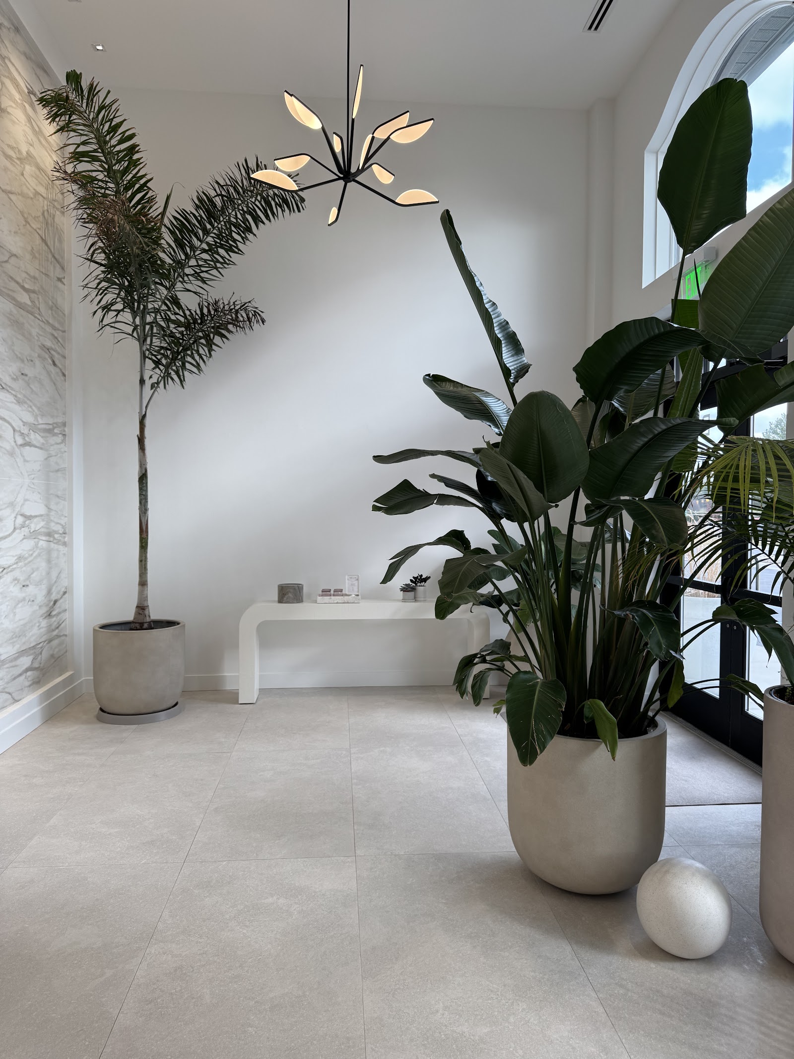 Bloom Health — photo