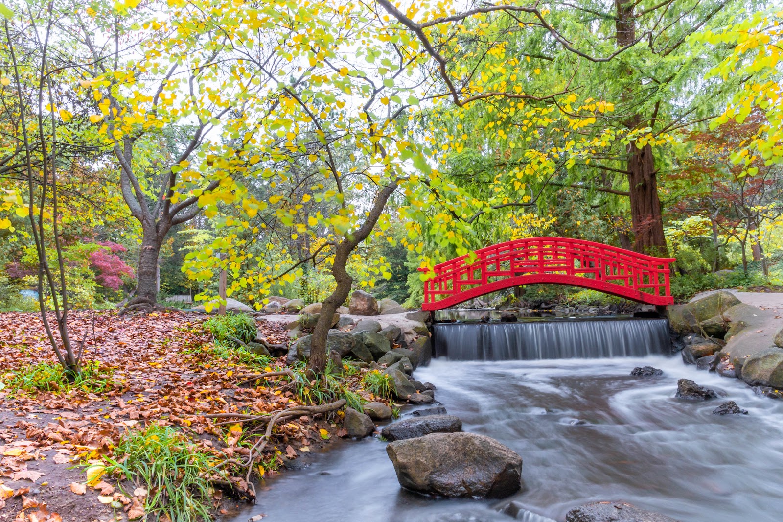 Cranbrook Japanese Gardens in Bloomfield Hills