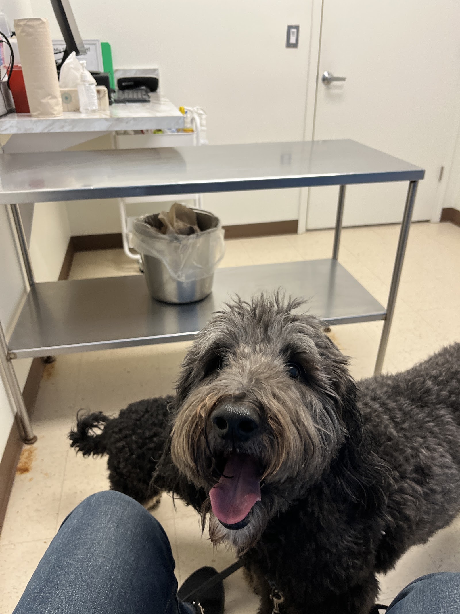 Gasow Veterinary Hospital in Birmingham