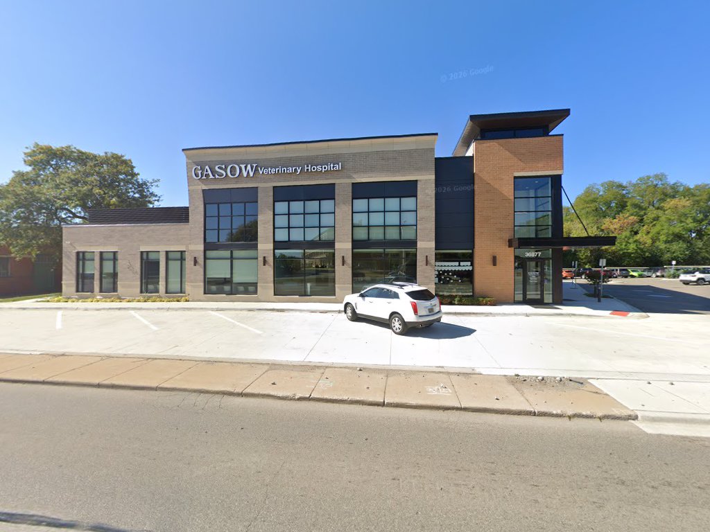 Gasow Veterinary Hospital: Reynolds Ashley DVM in Birmingham