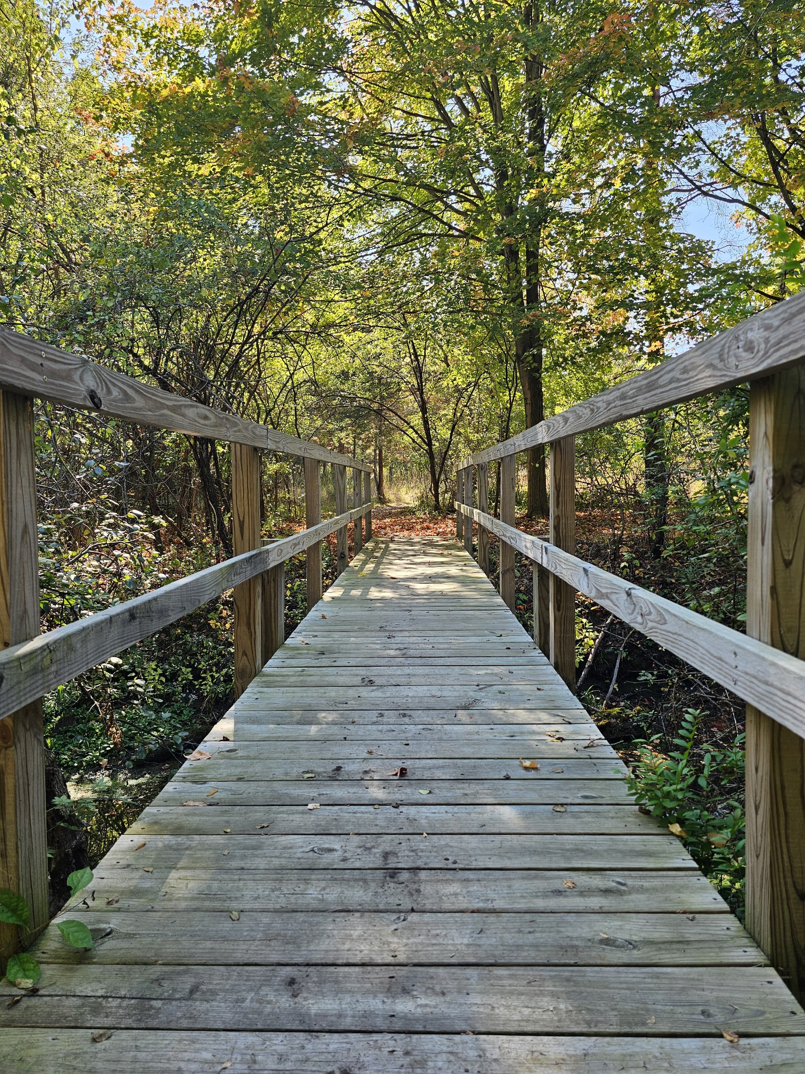 Johnson Nature Center in Bloomfield Township