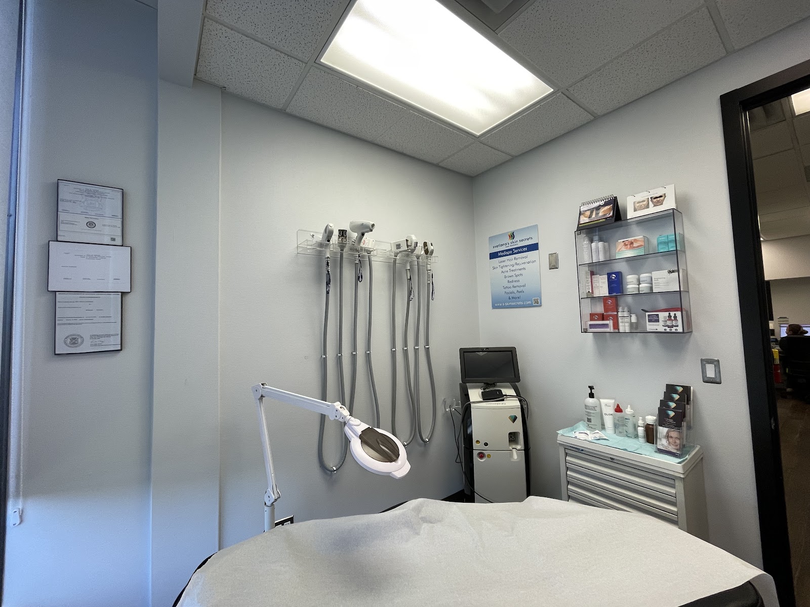 Svetlana's Skin Secrets, LLC in Bloomfield Hills