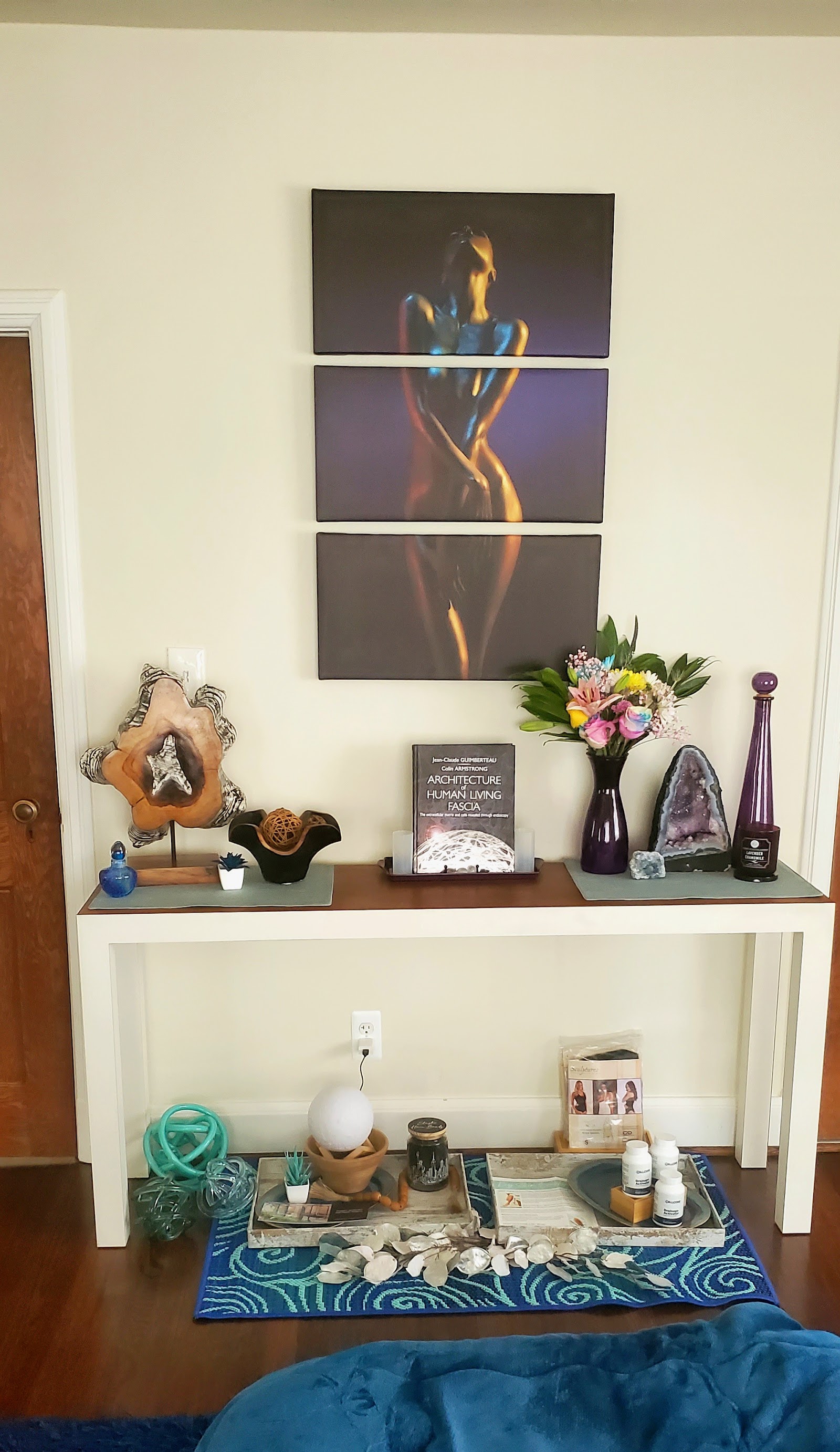 The Lymphatic Path — photo