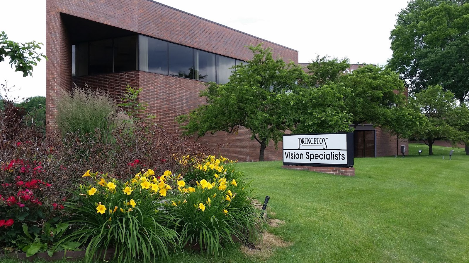 Vision Specialists of Michigan — photo